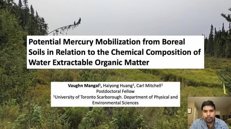Potential Mercury Mobilization from Boreal Soils in Relation to the Chemical Composition of Water Extractable